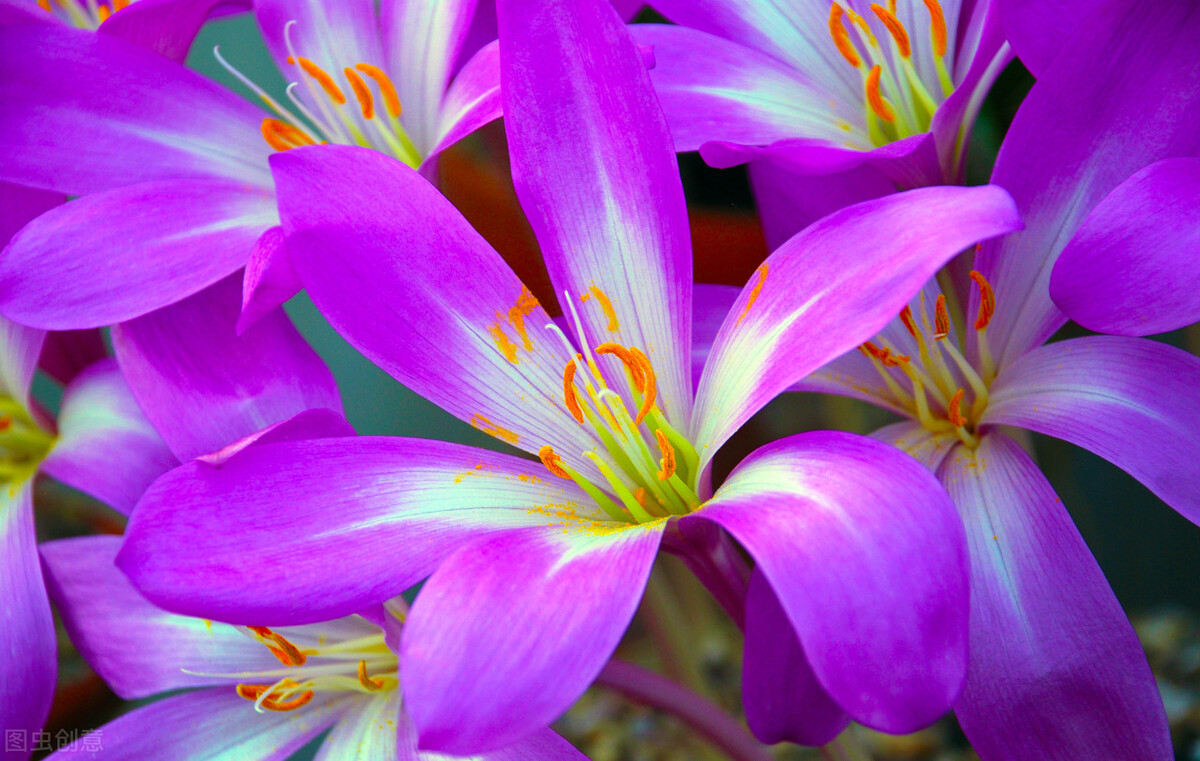 知道不该打扰你，偏偏做不到忘记你，缘起一刹那，情牵一辈子