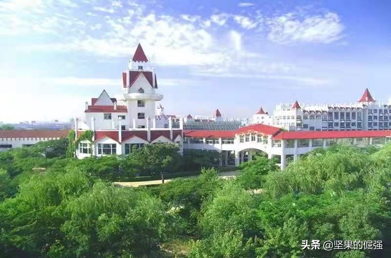 苏州市九所优质民办初中，附四星级高中达线率