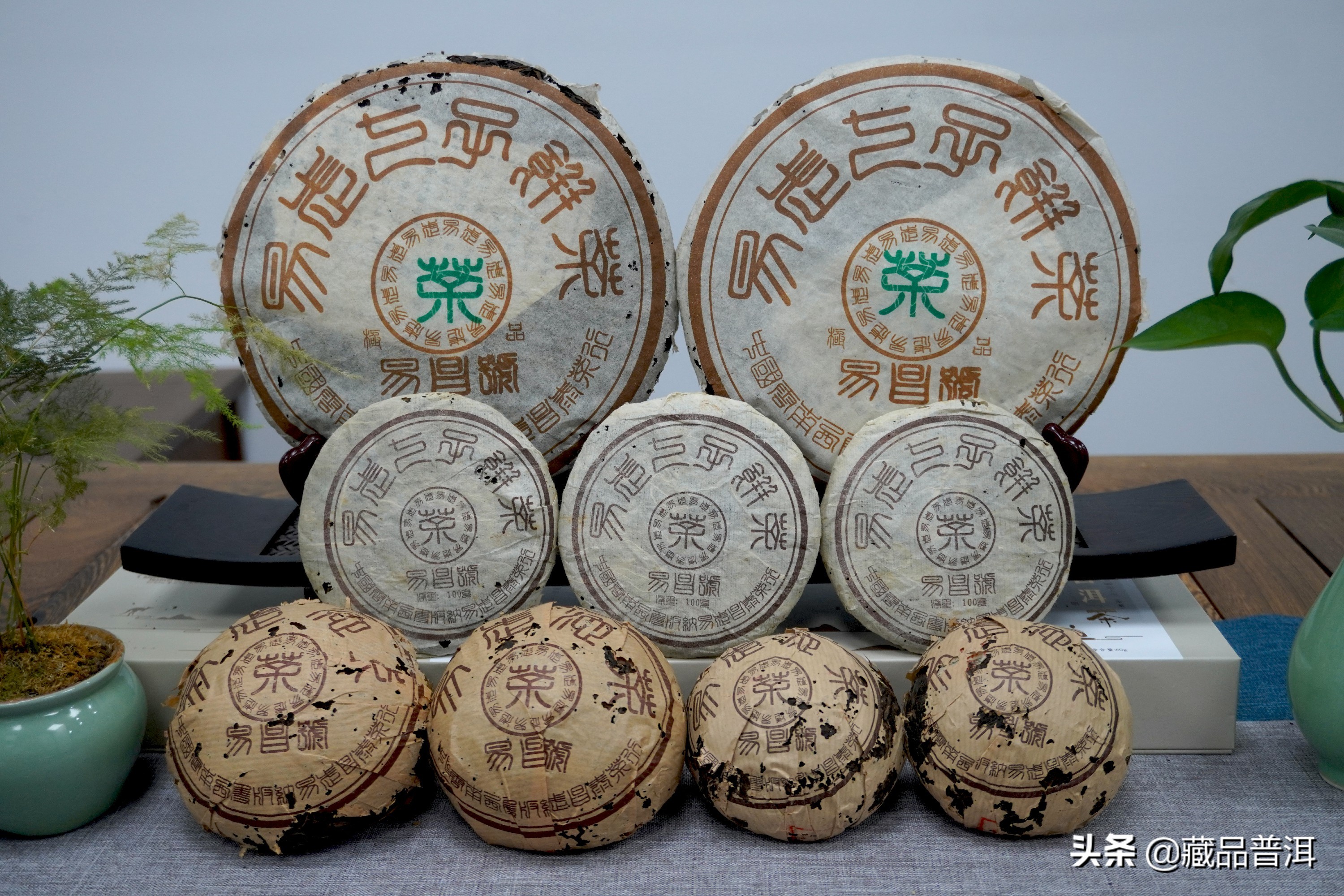 2021普洱茶十大知名品牌榜新鮮出爐！看看你關(guān)注的品牌，上榜了嗎