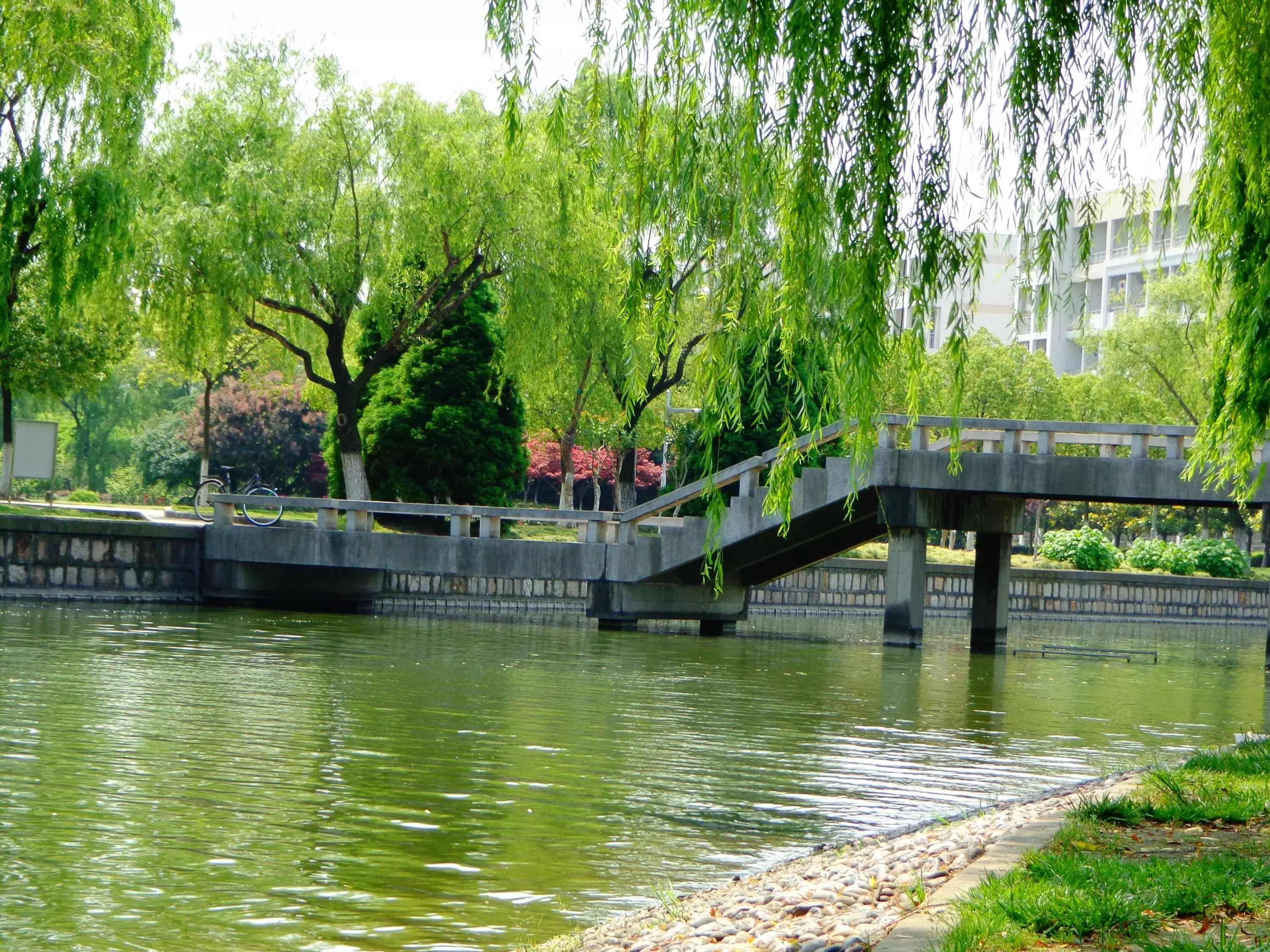 上海大学发布2021年招生简章，解读艺术强校应该把握的问题？