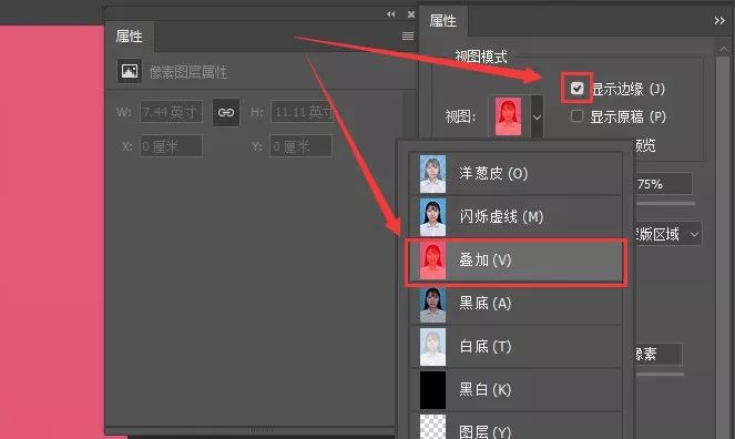 最详细的一篇PS证件照换底色教学，你还学不会吗？