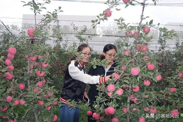 王媛媛世界杯数据(可喜可贺！偏远县城走出世界冠军，王媛媛被授予国际级运动健将)