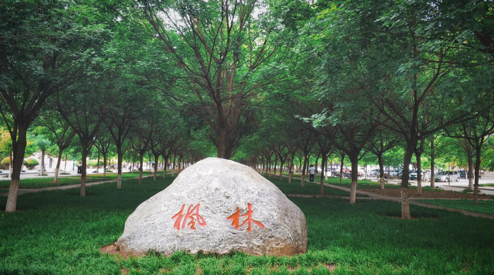 坐落在小县城的985高校，录取分数常年偏低，适合学生捡漏