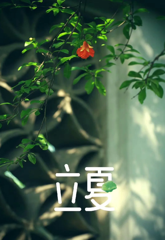 「原创诗词」阿茂 | 壮志野花成昨梦 半年岁事又峥嵘（诗词十首）