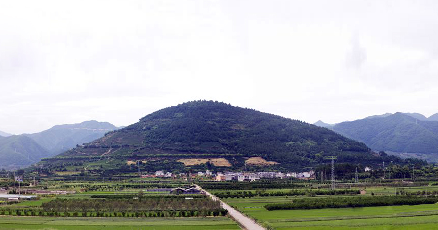 浙江丽水松阳县最大的镇，地处平原，是全国重点镇之一