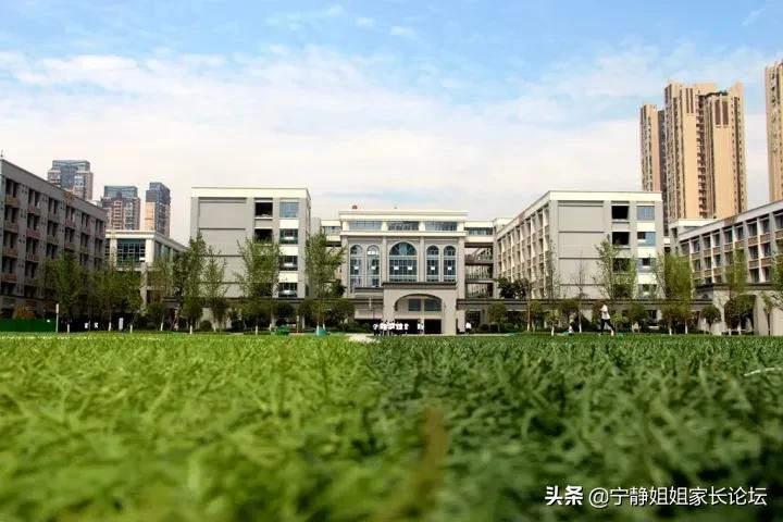 初升高家长注意！这7所公办高中，值得你关注