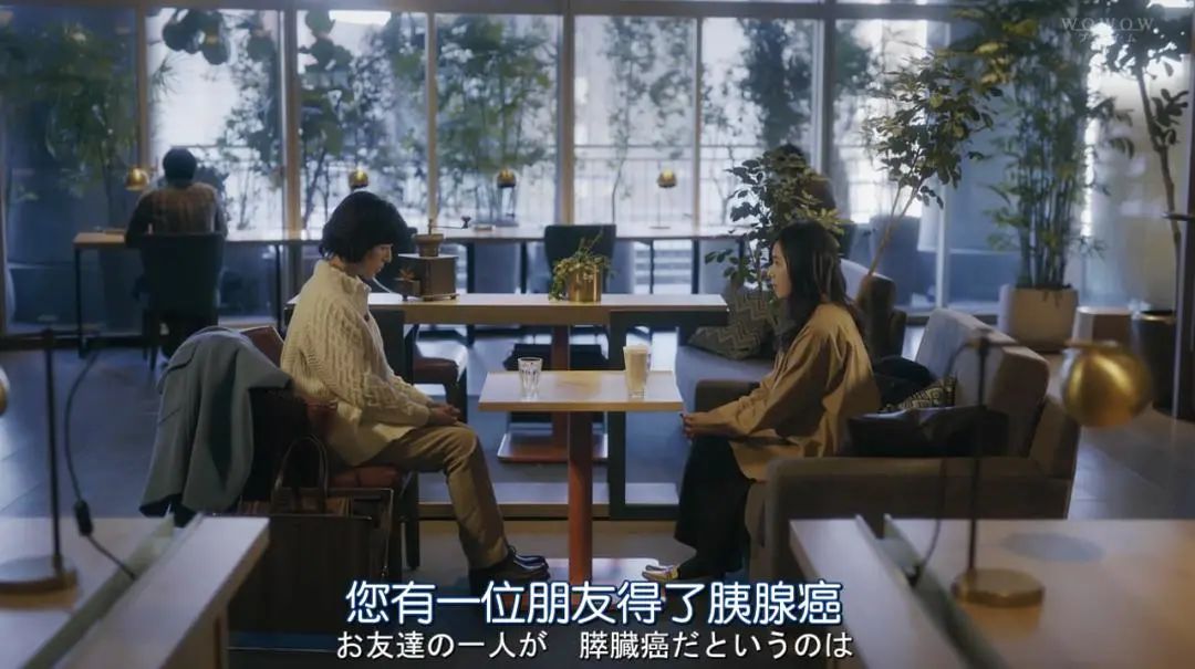 评分8.8，桥本环奈主演悬疑新剧《影响》，看美少女交换杀人