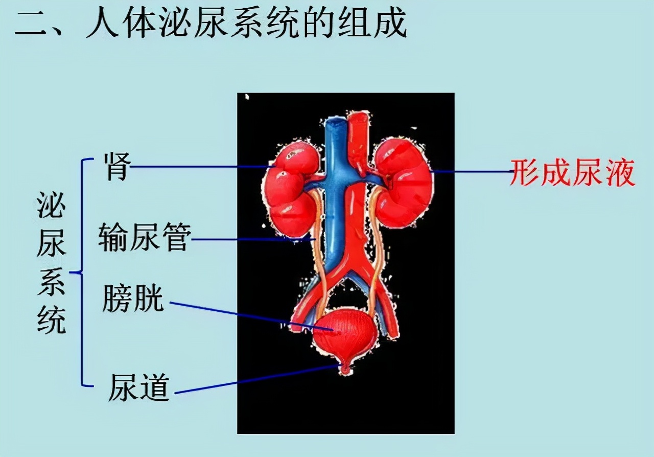 打过一次肾结石，还能再打吗？今天就讲讲关于碎石的那点事