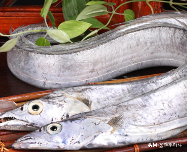 中国十大海鲜产地，吃了这么多年海鲜你恐怕都不知道