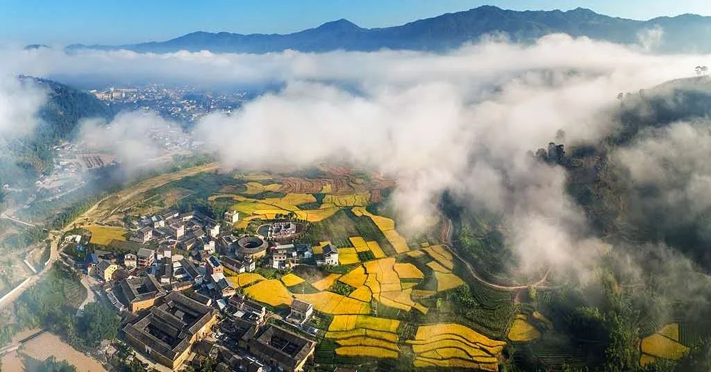 迎着溪头的晚照躲进了夜幕的怀抱在玄夜长古中护佑着盛世安然半月楼