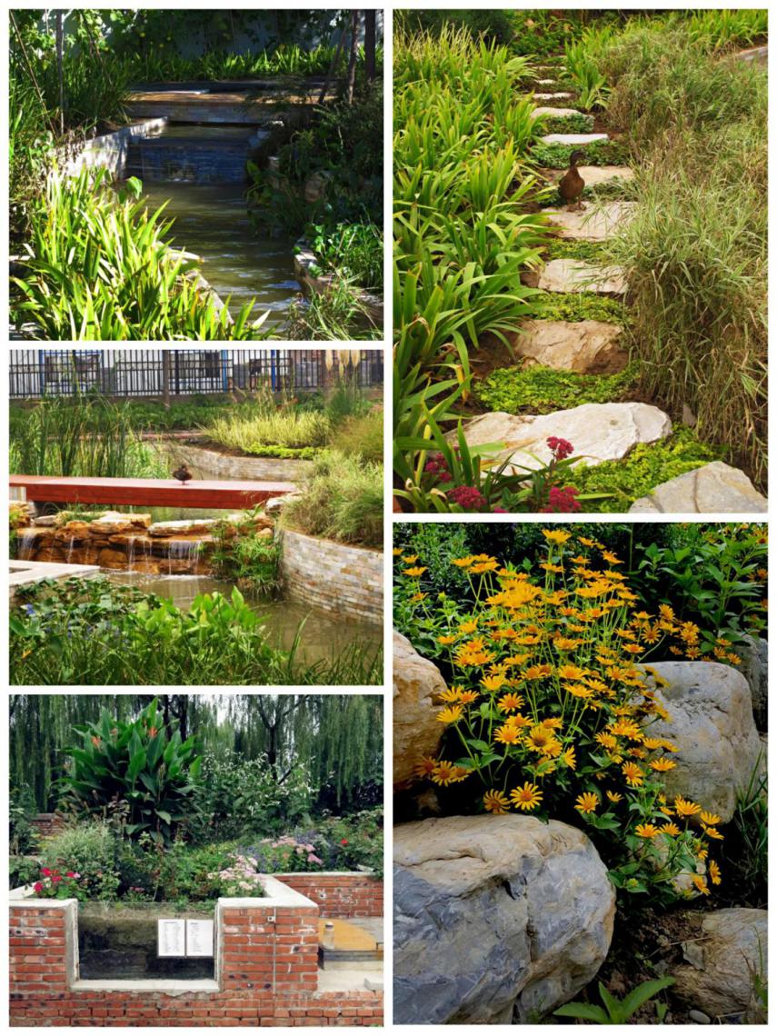 北京这个学校很“火”！坐拥3大花园、果园、动物园，集美貌与知识于一体！