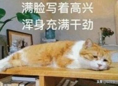 没猫不要紧，靠这些猫咪游戏我过上了神仙日子