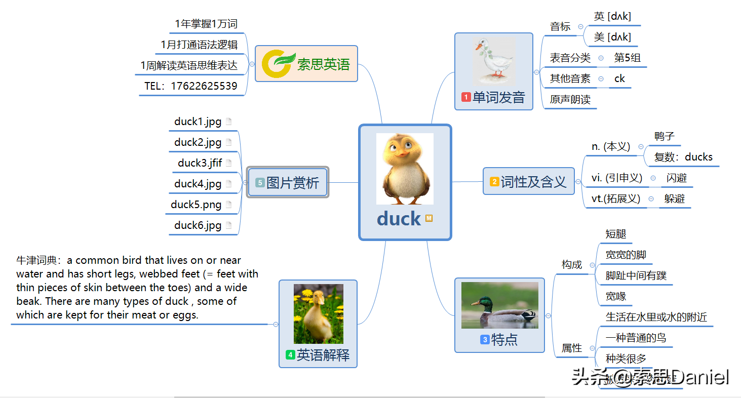 duck英语怎么读（duck英语怎么读音发音中文翻译）-第1张图片-科灵网