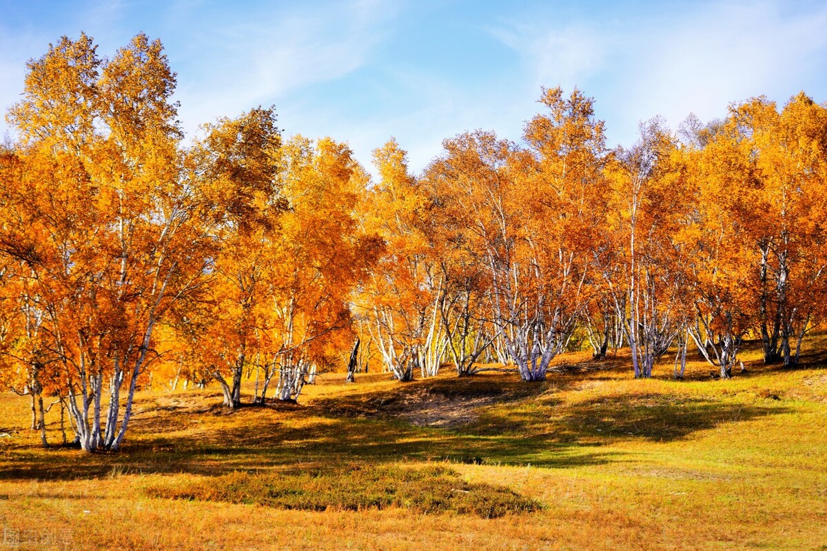 金秋专属,一到秋天就美如画的草原风光,大家一定不能错过