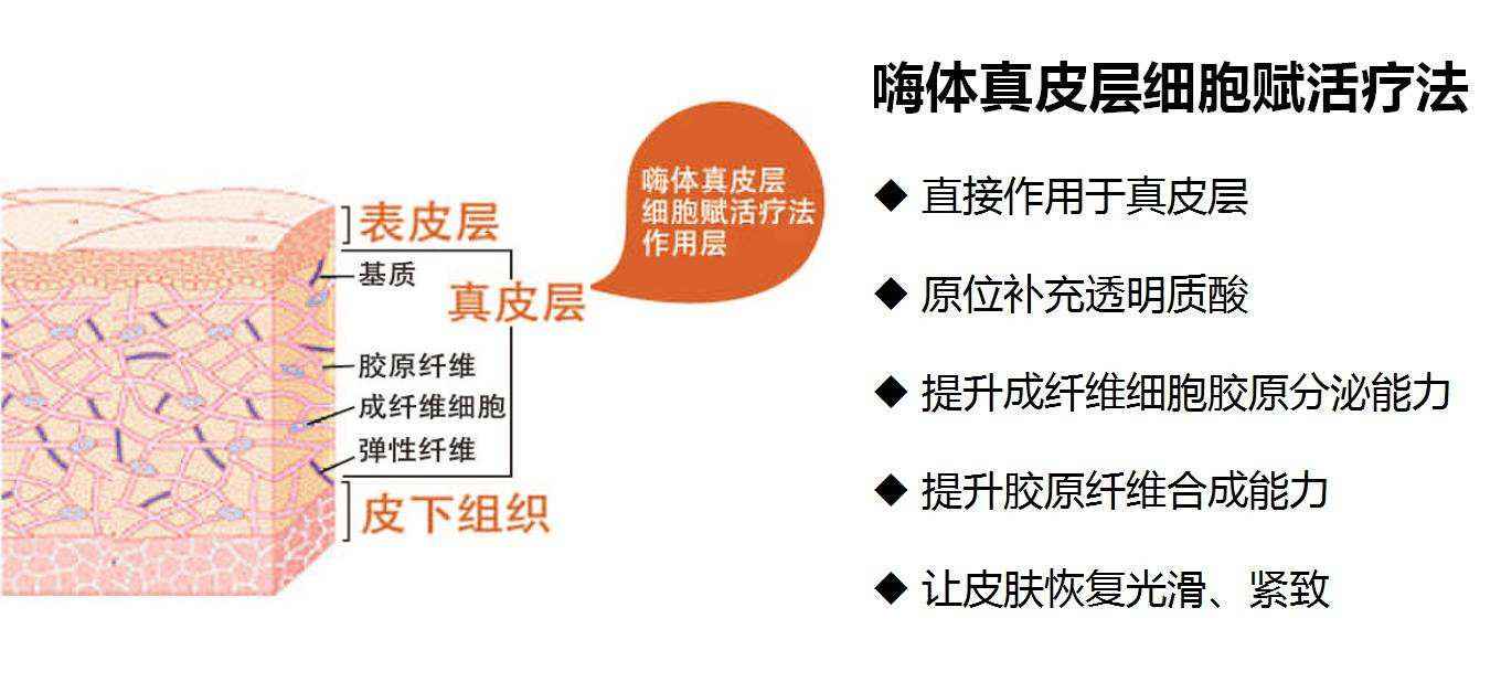 颈纹如年轮，真是暴露年龄！一条颈纹老10岁，你算算....