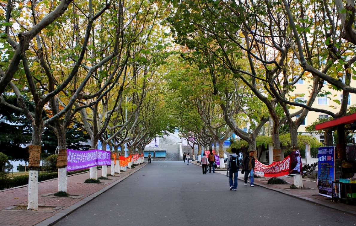 中国大学绰号总汇，五道口职业技术学院听懵网友，你能猜出来几个