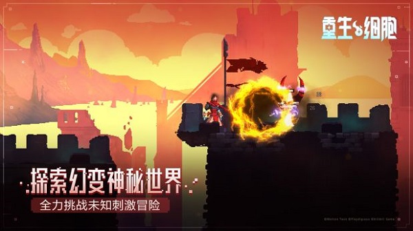 重生细胞存档版