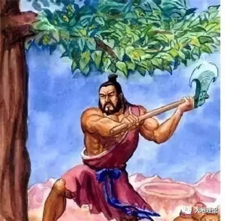 广西为什么被称为“八桂”大地？