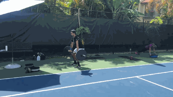 网球弹力绳怎么系(如何像职业球员一样系统的练习？每次去球场练上这一套绝对有效)