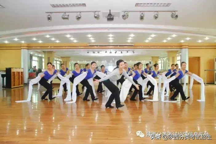 【国家公办】陕西青年职业学院2019年分类考试招生简章及院校介绍