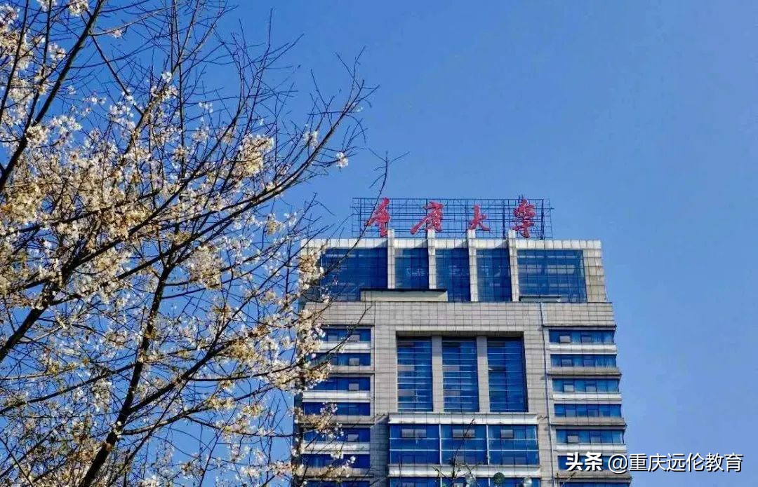 2021重庆市美术类联考大纲来了！美术生家长请留心！考纲解读