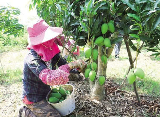 孩子1岁前别吃这3种水果，有“过敏”风险，宝妈看好再买