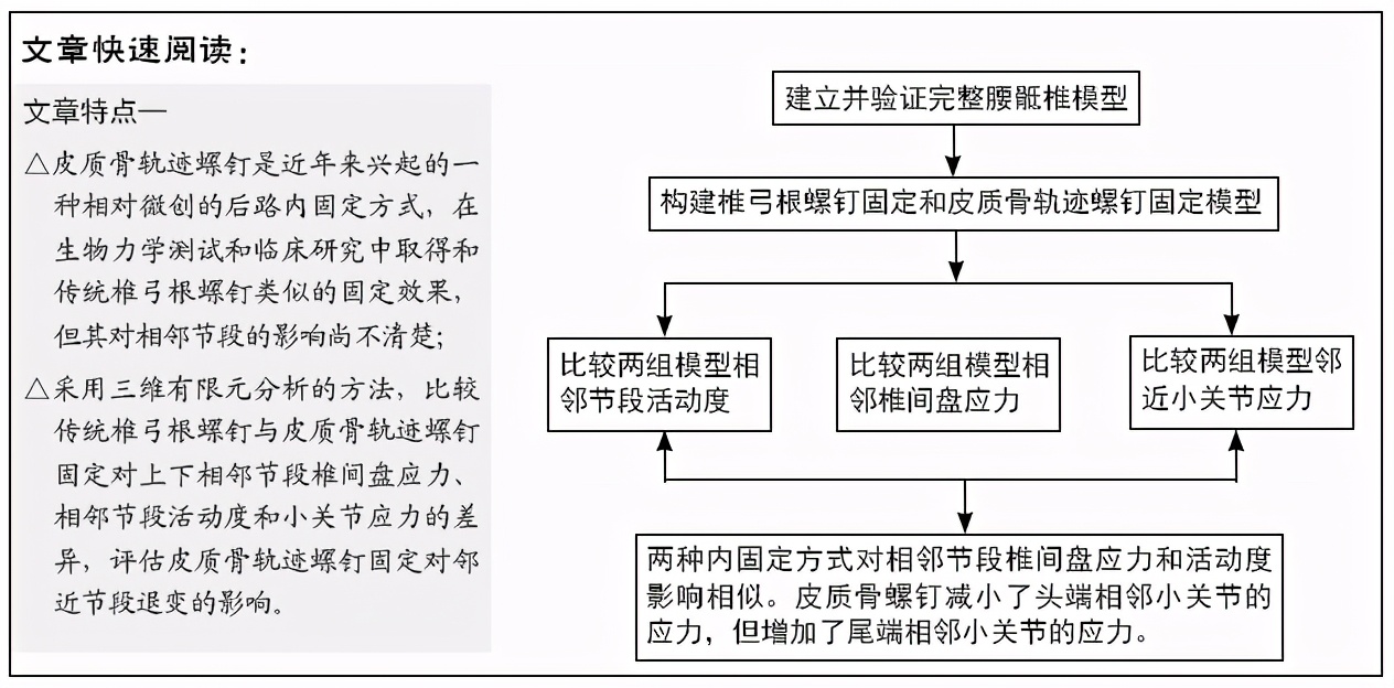 皮质骨轨迹螺钉固定对相邻节段影响的有限元分析