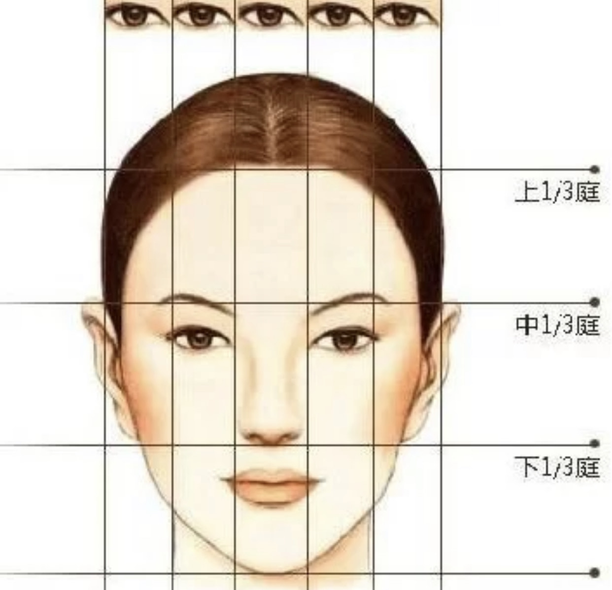 中国人的脸型分类图图片