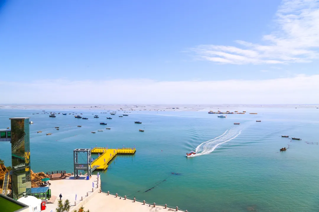 来荣成读大学：在蓝天碧海间绽放最美青春