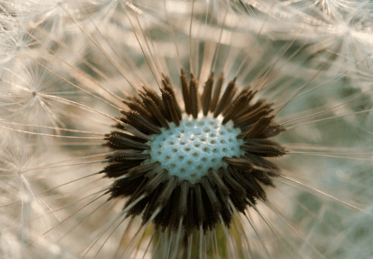 “和睦相处”这四个字到底有几成意思，是好还是坏呢？