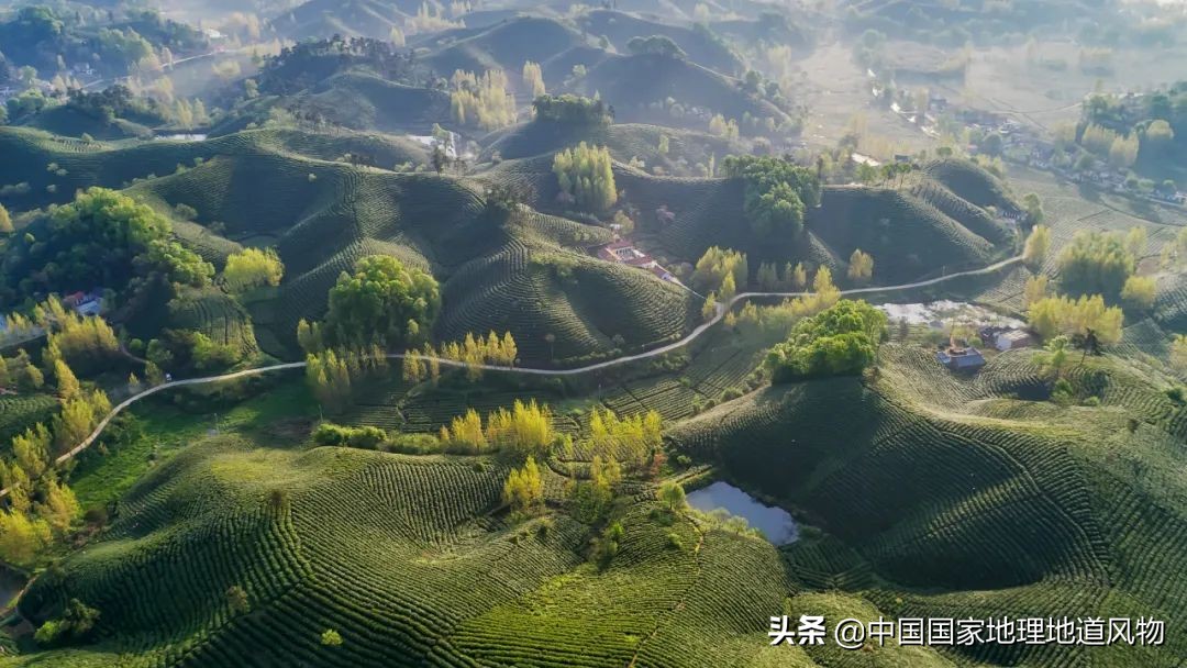 “中国人的老家”河南，会成为“北方第一强”吗？