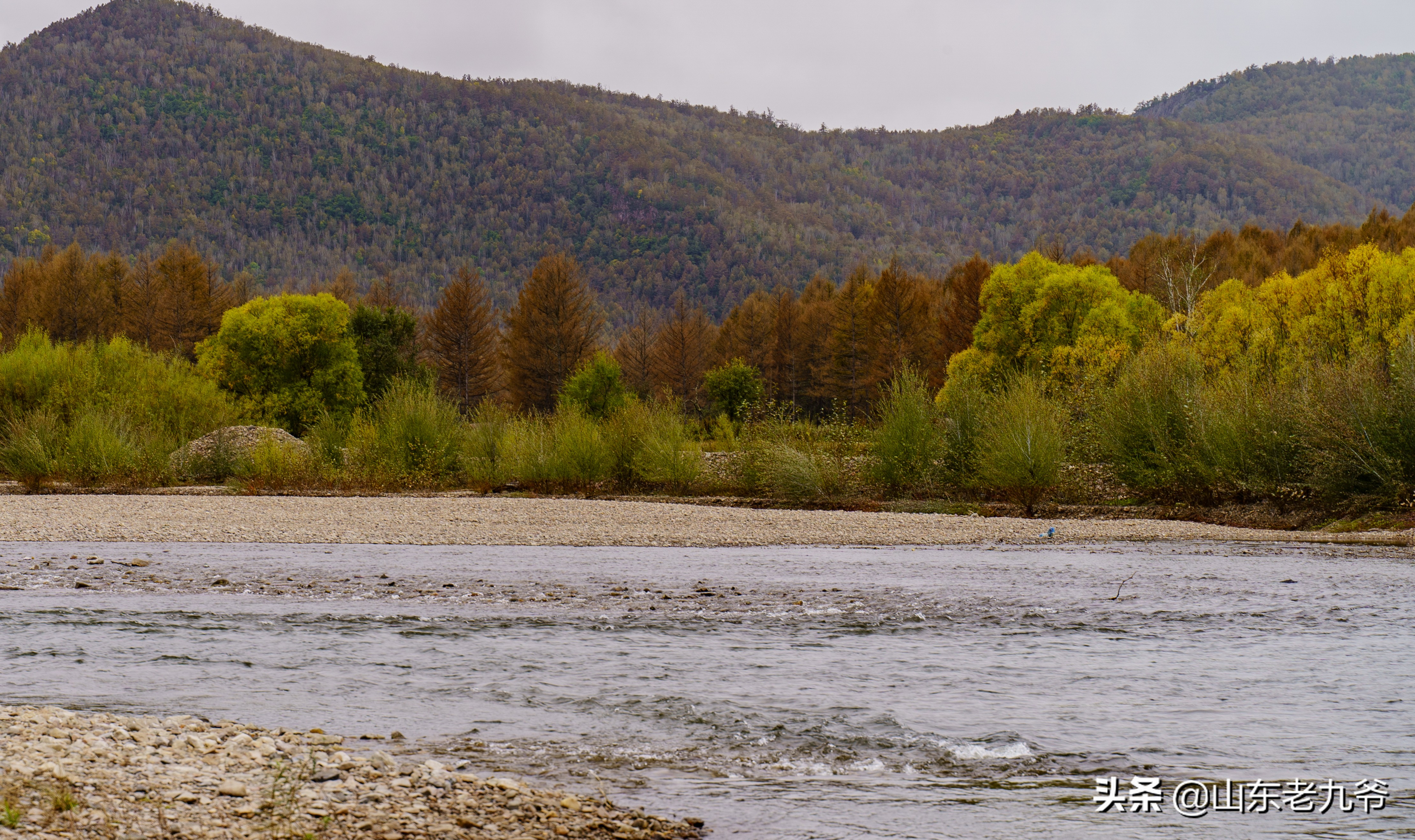 自驾6000公里,拥抱金色呼伦贝尔(一):如诗如画的柴河