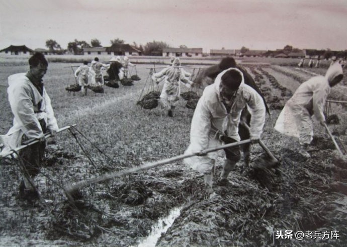 新中国70年代初期欣欣向荣的农村人民公社