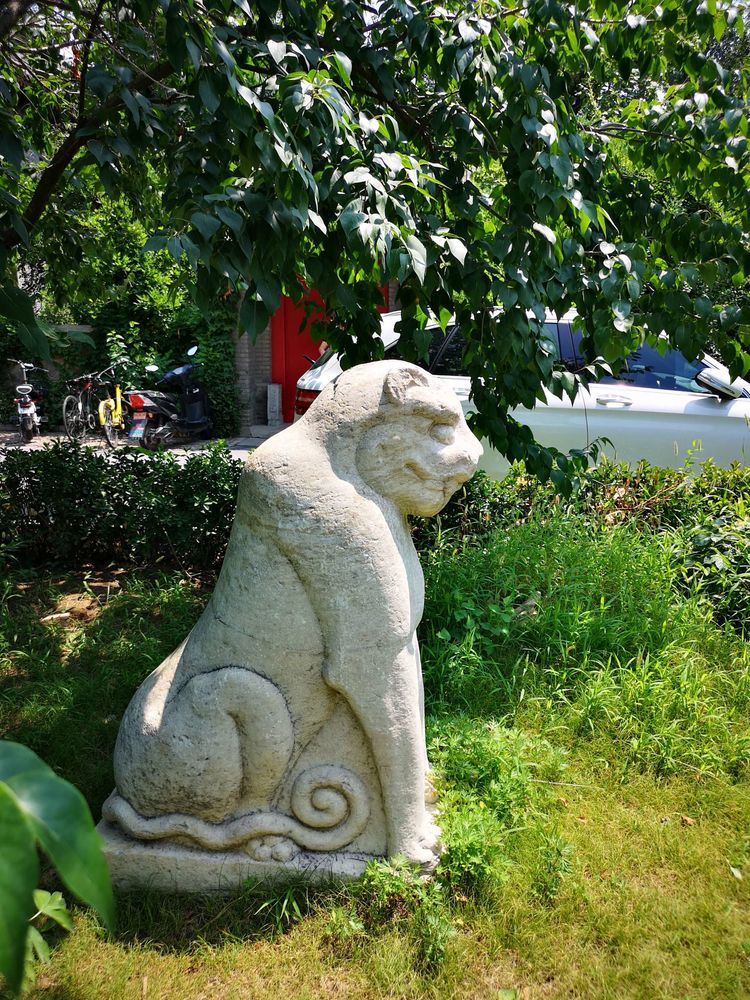 北大印象，漫步北大校园