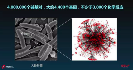 塑料已进入人类体内，塑料的降解大概需要300年……