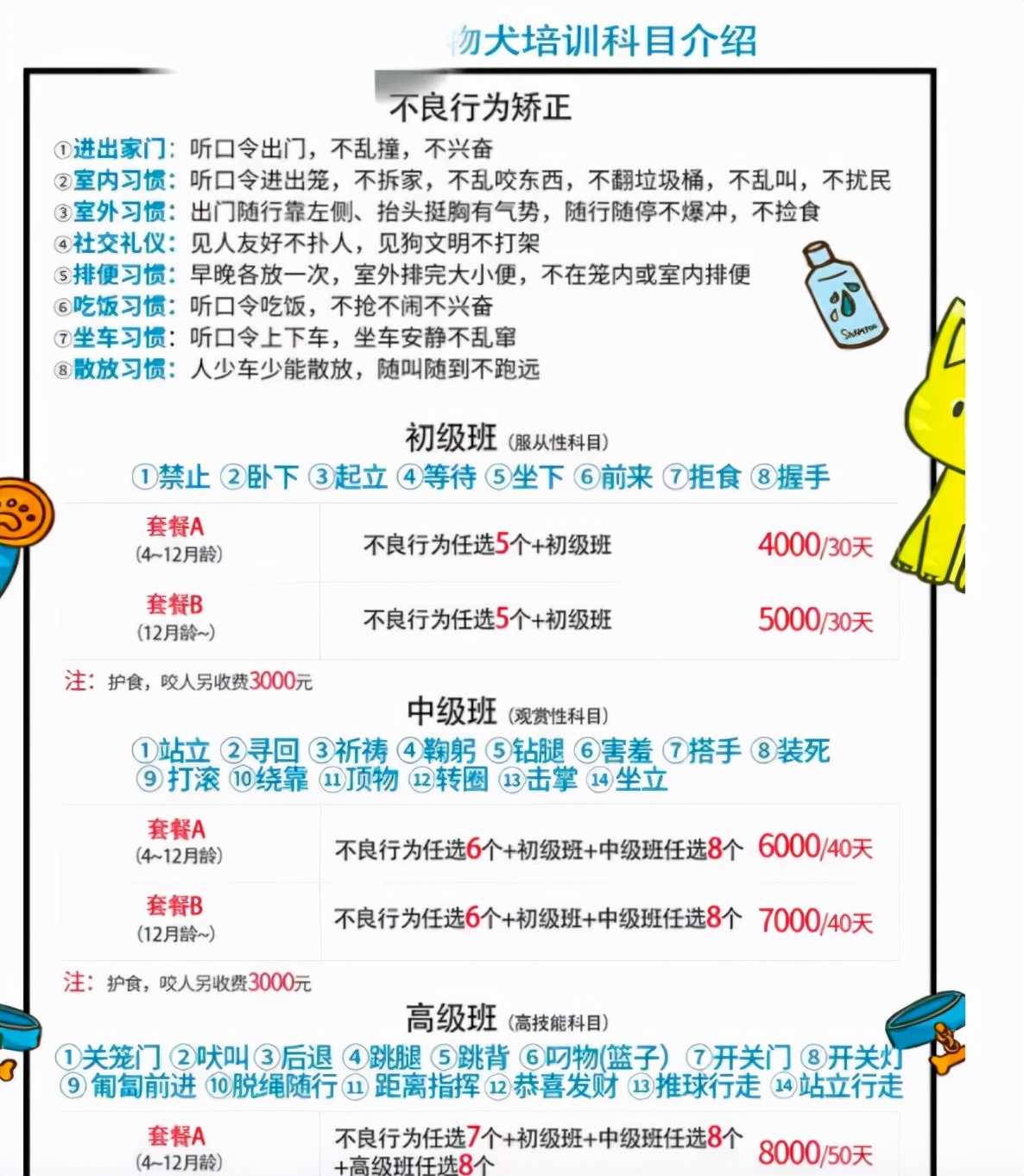 没孩子的年轻人，送宠物去上学