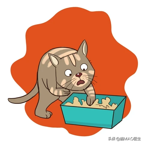 猫咪腹泻的9大原因，通常简单治疗可以康复，但特殊病因需要排查