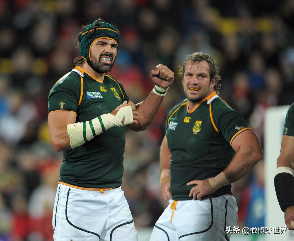 2015新西兰橄榄球世界杯决赛(英橄十年最佳阵容——前锋篇)