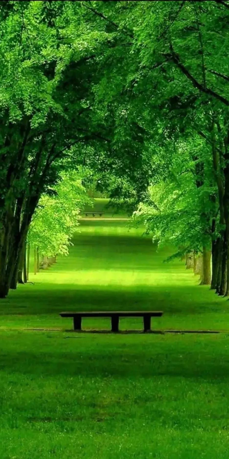 妈妈，我们总是把你藏在你的心里。