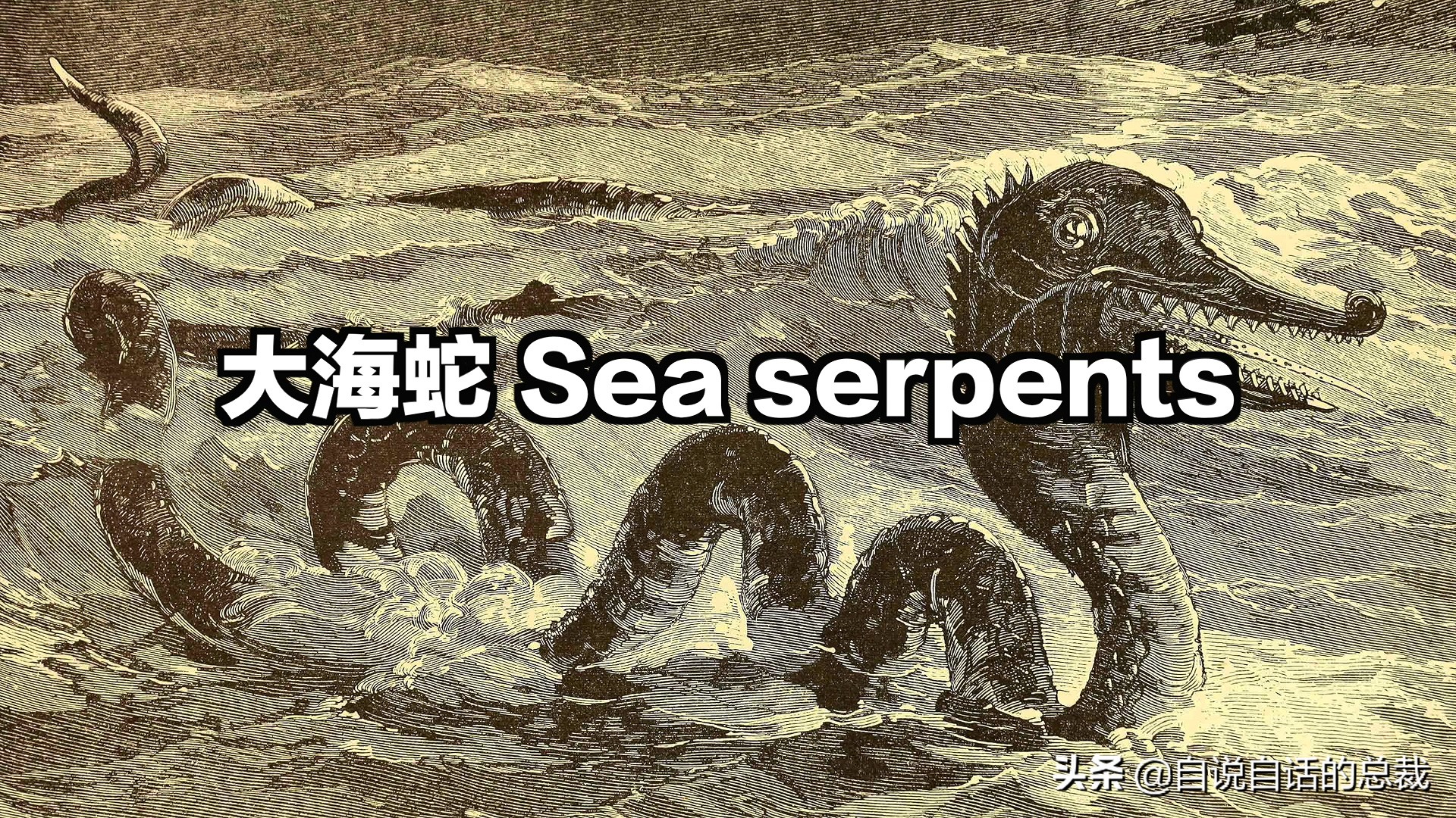 海怪怎麼吃(5種比巨齒鯊還恐怖的海怪)