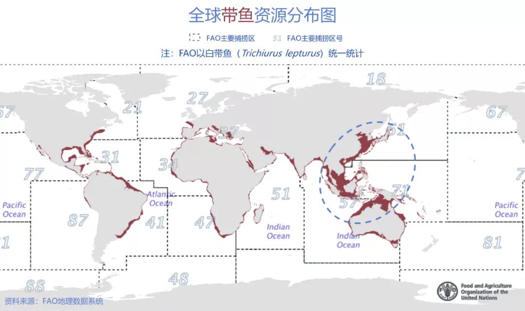 带鱼：就算我是"愿者上钩"，你也别想见活着的我