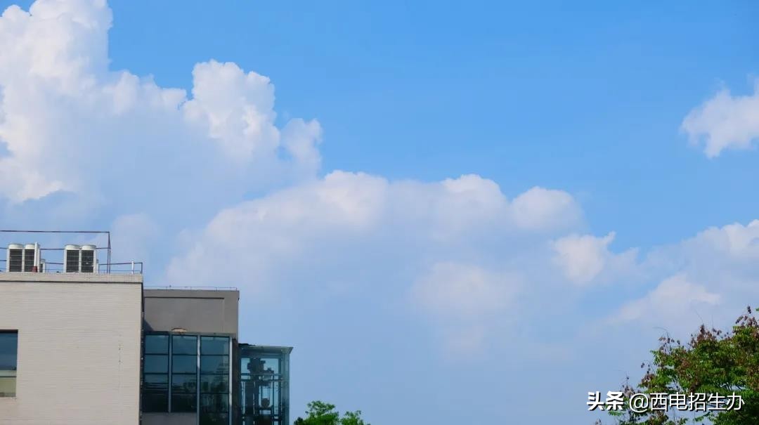 全国首个！陕西一高校与80余家重点单位合作，被省教育厅聚焦