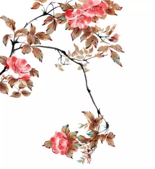 青丝三千，红尘一念