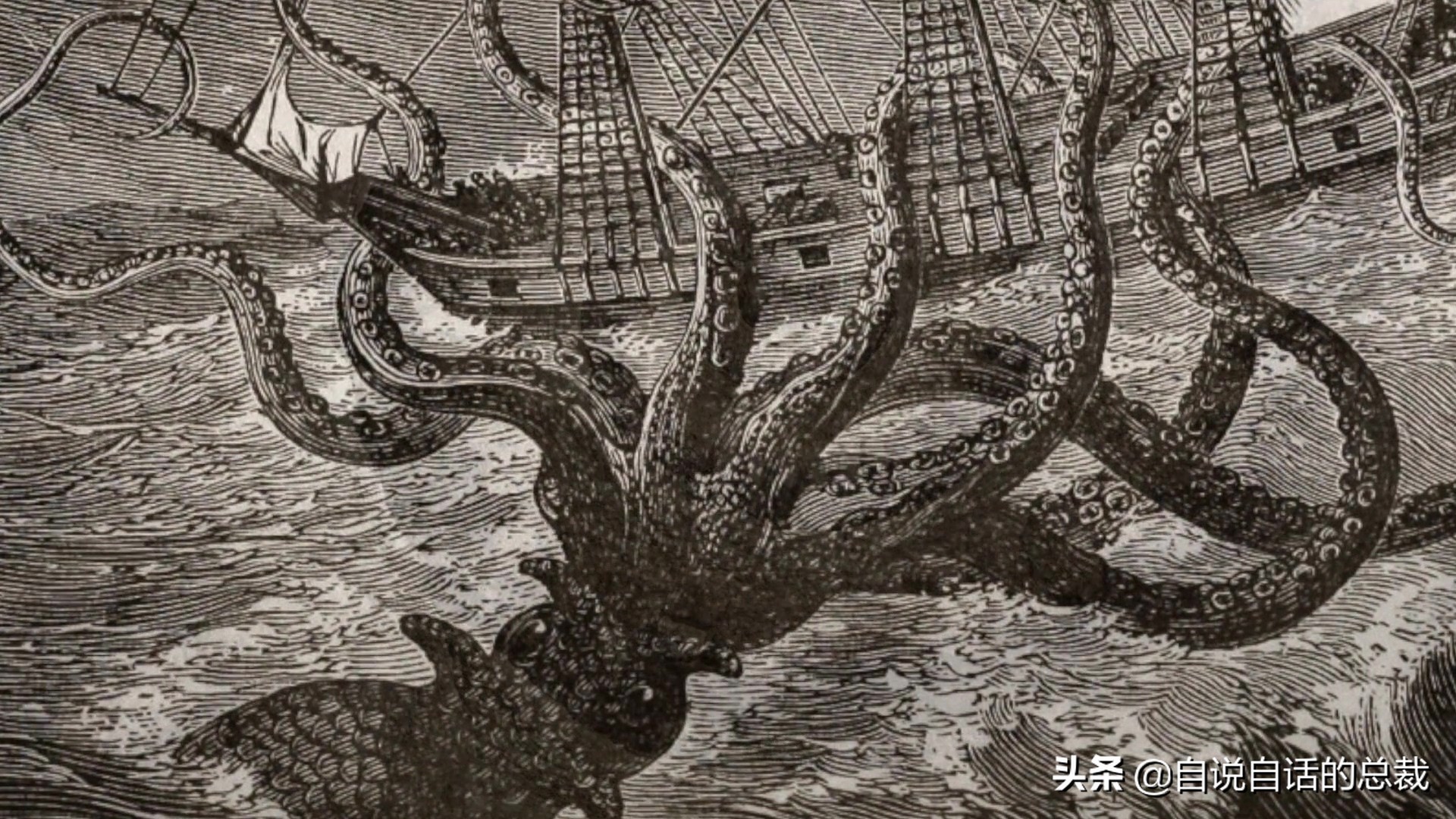 海怪怎么吃(5种比巨齿鲨还恐怖的海怪)