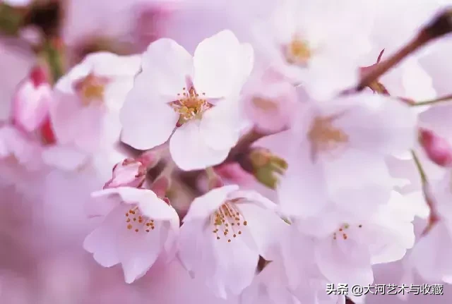 雨水：天街小雨润如酥