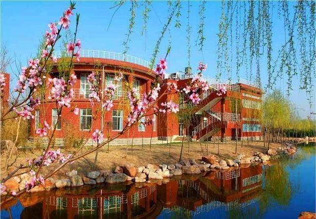 潍坊最好的5所高中，2020年高考9人进入省前50，还有一名是省状元