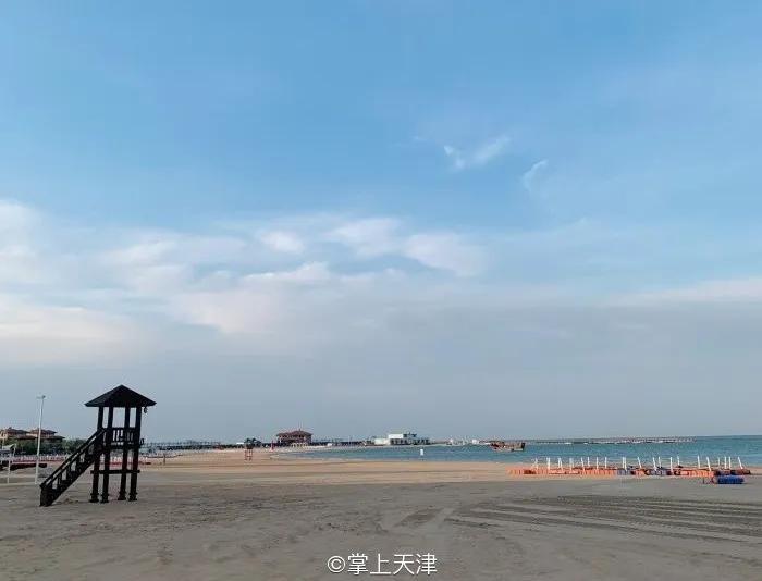 赶海拾贝挖蛤蜊，天津这些地儿你都去过吗？