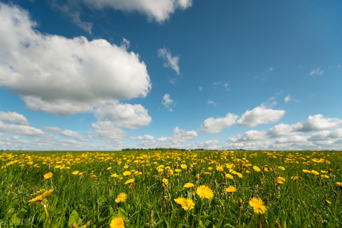 2020山东高考听力真题（40）