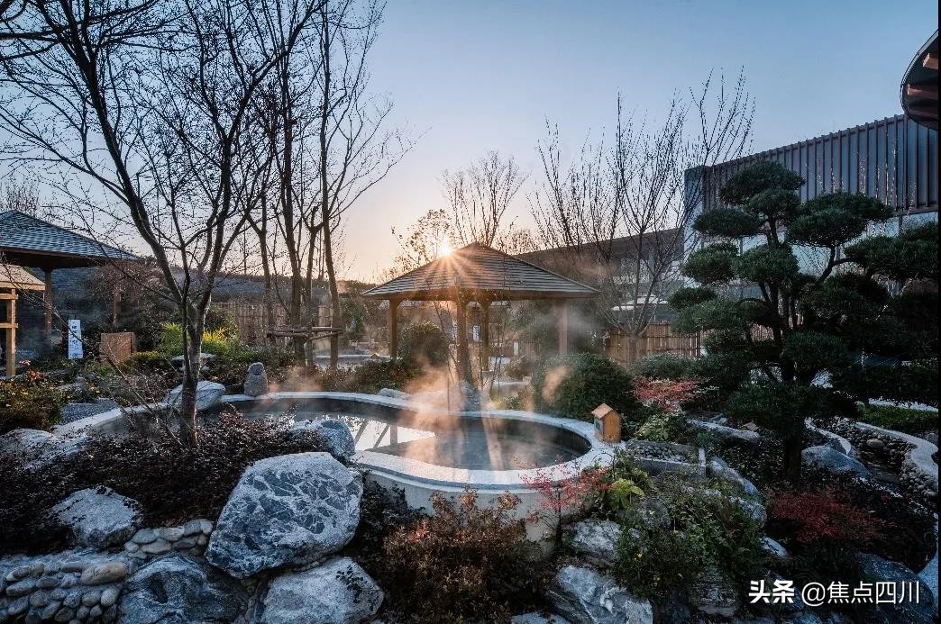 奥迪棋牌刘元兵：专业棋牌服务引领者