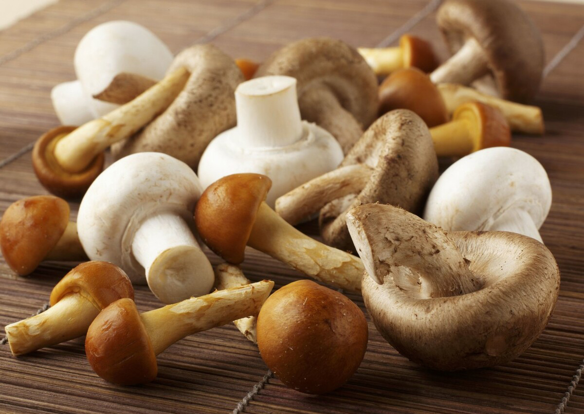 经常吃蘑菇,对身体有这3个好处,看看你知道几个